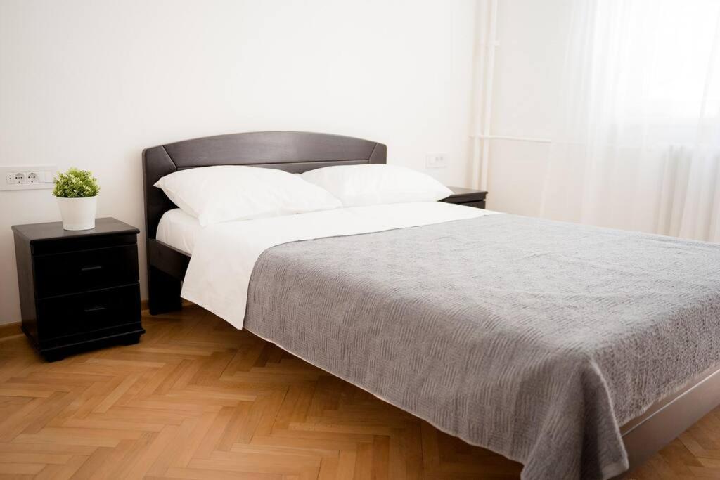 Downtown, Spacious, 2 Bedroom * Belgrade